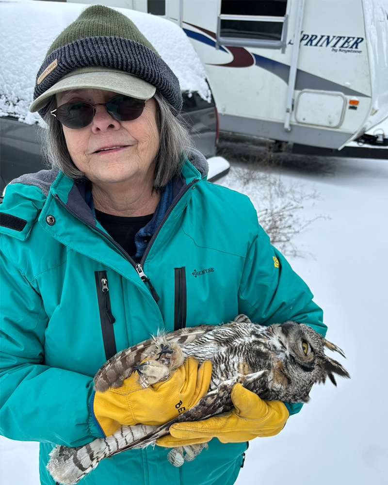 Bea from Spokane Audubon Society carrying injured owl in her arms